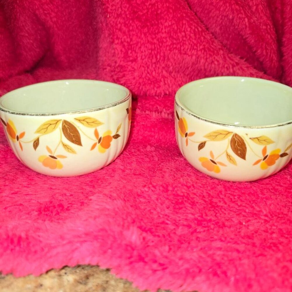 Jewel Tea Custard Cup/Ramekins - Set of 2